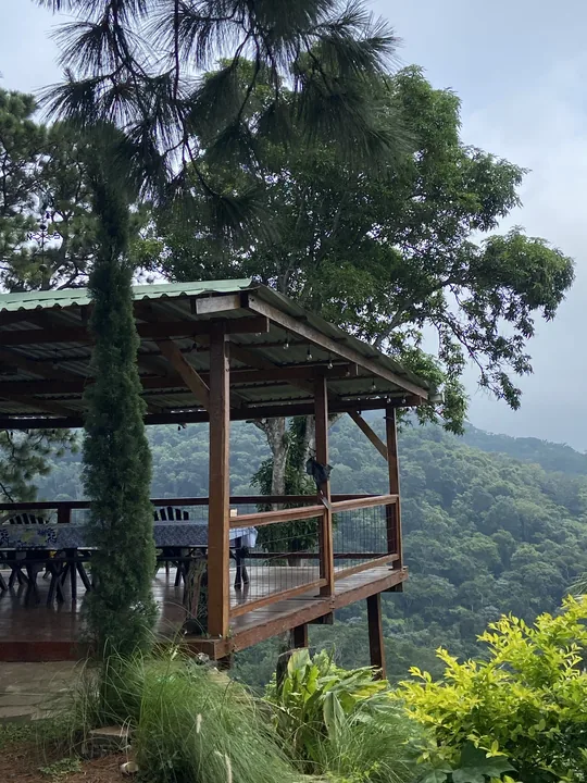 Wooden terrace among the pines at Finca Montealegre, with the forested mountains of the Cordillera del Bálsamo behind